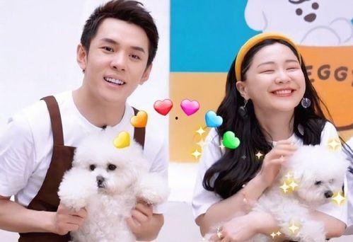 金靖最新爆料新闻,揭秘娱乐圈不为人知的幕后故事